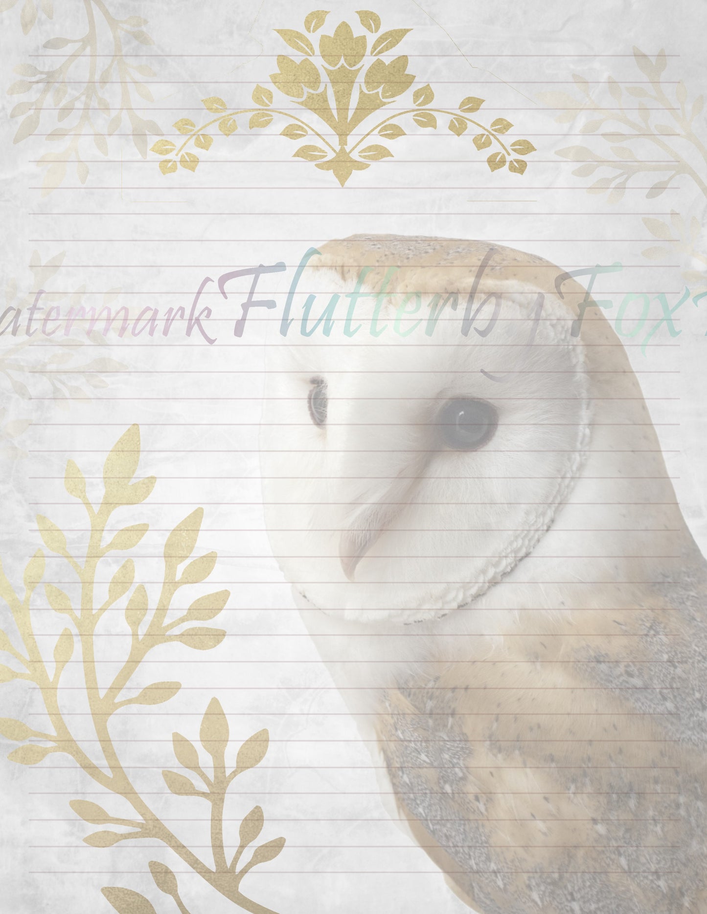 Barn Owl