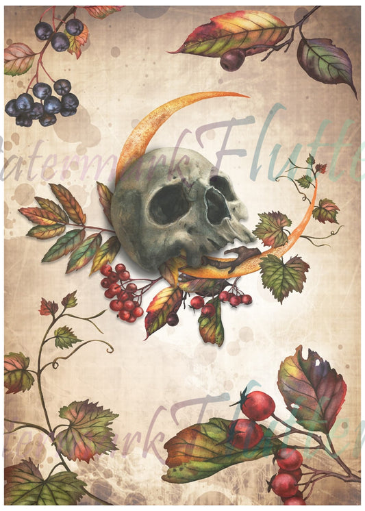 Autumn Haunting