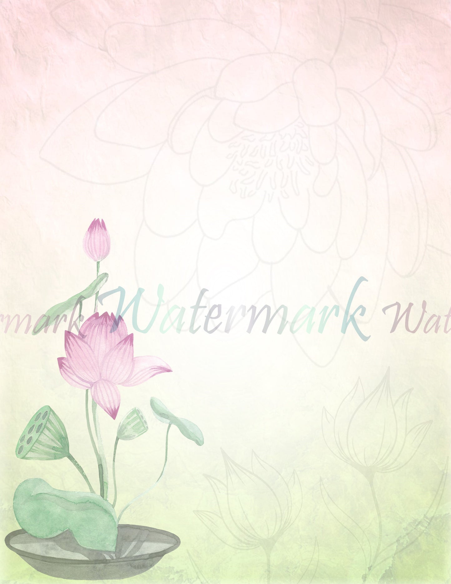 Pink Lotus