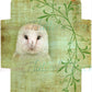 Green Witch Envelope Set - Digital