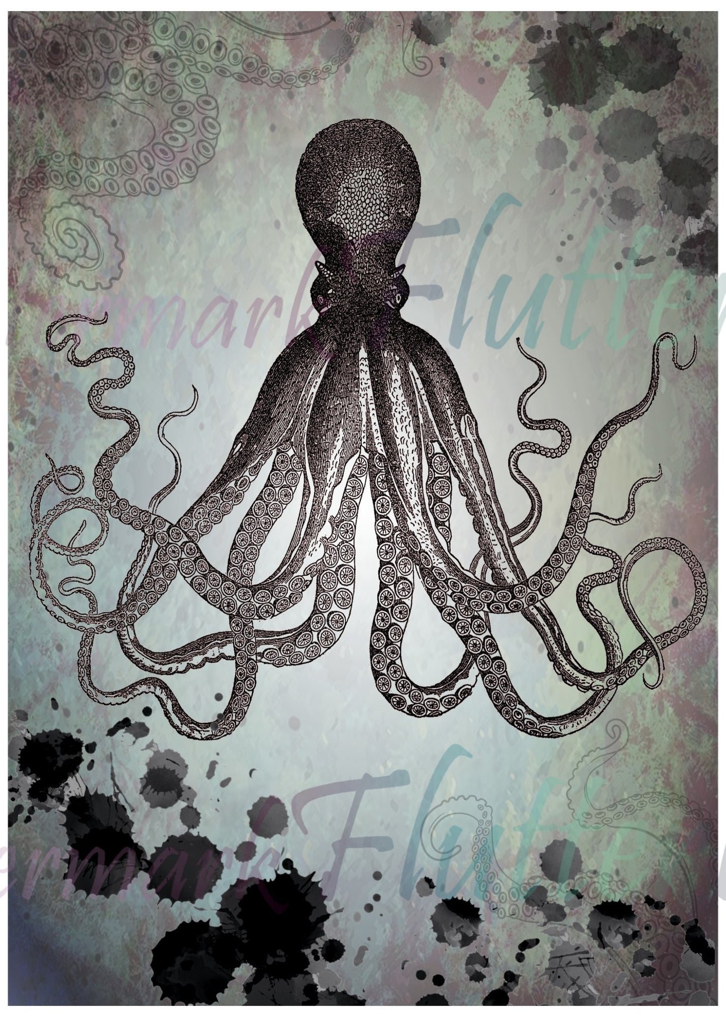 Octopus