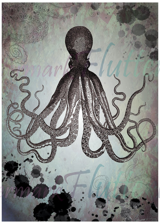 Octopus