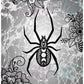 Moon Spider