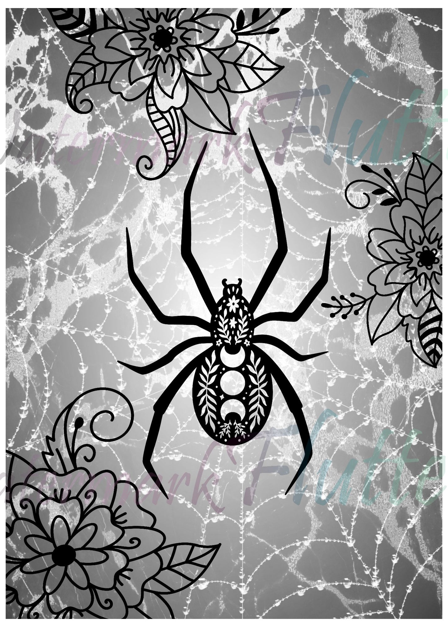 Moon Spider