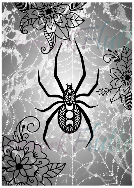 Moon Spider