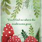 Moss & Mushrooms