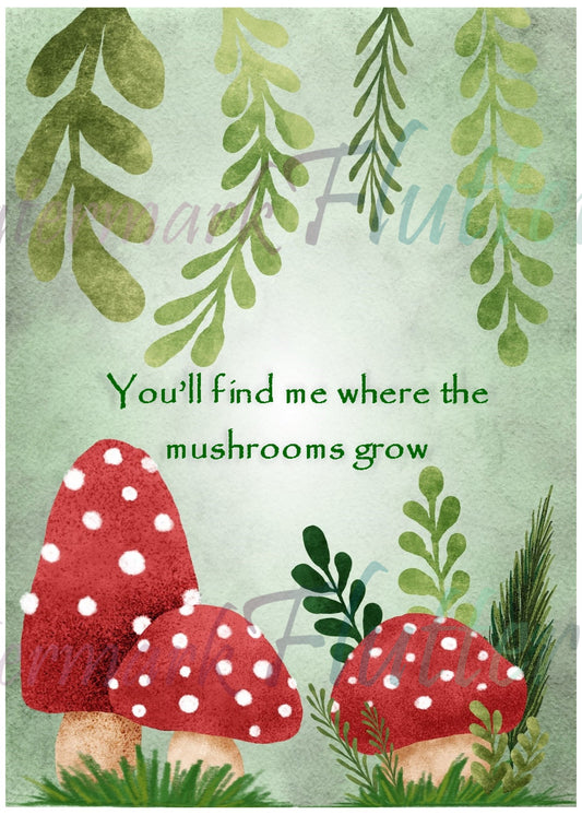 Moss & Mushrooms