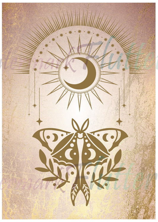 Golden Moth