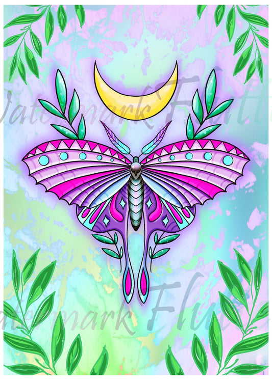 Moon Moth