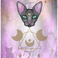 Sphinx Magic