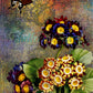 Butterfly Garden Junk Journal Pages - Digital