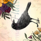 Autumn Blackbird