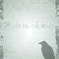 Raven Border Stationery